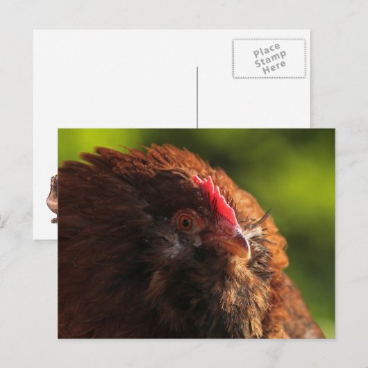 FluffaDerp Briefkaart (Voorkant / Achterkant)