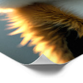 Fluffe 3d-meerkeukenbril met zonnebril poster (Hoek)