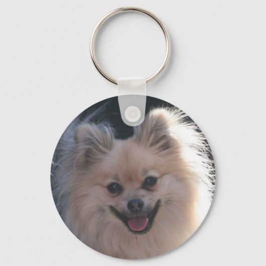fluffe pomerese hond sleutelhanger (Voorkant)