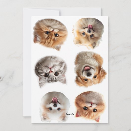 Fluffing Around Feestdagenkaart (Achterkant)