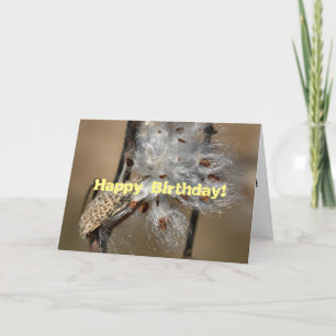 Fluffkin Birthday Kaart