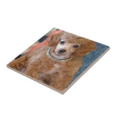 Fluffy Abriot Poodle Puppy Dog Tegeltje (Zijkant)