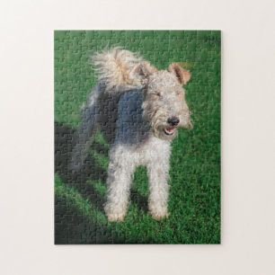 Fluffy Airedale Welsh Terrier Type Dog Puppy Legpuzzel