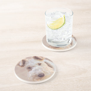 Fluffy Airedale Welsh Terrier Type Dog Puppy Zandsteen Onderzetter