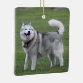 Fluffy Alaskan Malamute Dog Keramisch Ornament (Rechts)