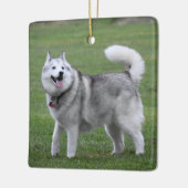 Fluffy Alaskan Malamute Dog Keramisch Ornament (Links)