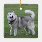 Fluffy Alaskan Malamute Dog Keramisch Ornament (Achterkant)
