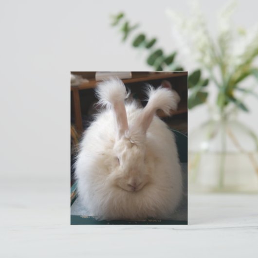 Fluffy Angora Bunny Briefkaart (Staand voorkant)