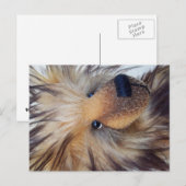 Fluffy Beer Briefkaart (Voorkant / Achterkant)