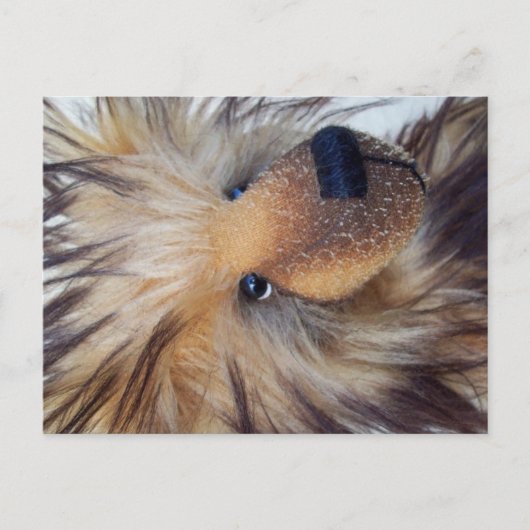 Fluffy Beer Briefkaart (Voorkant)