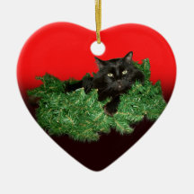 Fluffy Black Cat in kerstmis