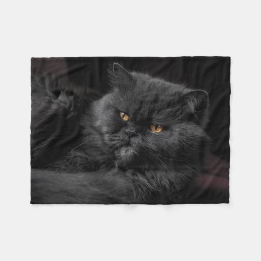 Fluffy Black Cat relaxing Fleece Deken (Voorkant (Horizontaal))