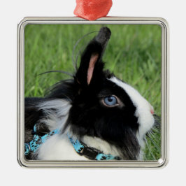 Fluffy Black en White Lionhead Bunny Rabbit Metalen Ornament