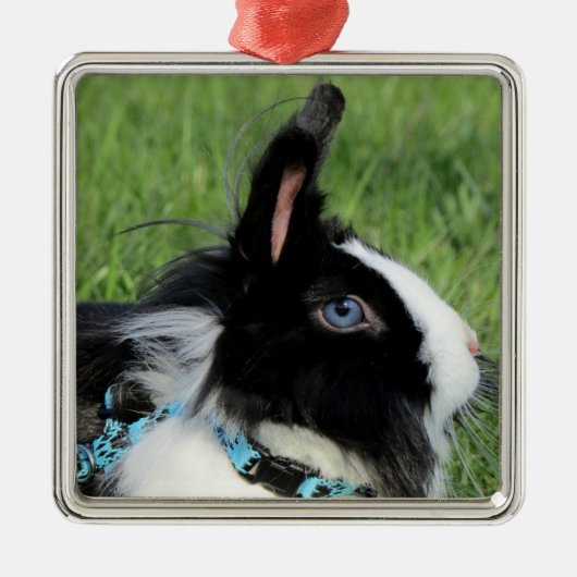 Fluffy Black en White Lionhead Bunny Rabbit Metalen Ornament (Voorkant)