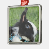 Fluffy Black en White Lionhead Bunny Rabbit Metalen Ornament (Links)