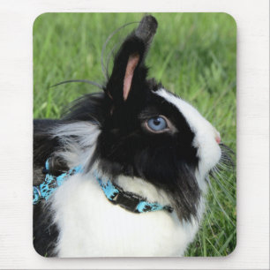 Fluffy Black en White Lionhead Bunny Rabbit Muismat