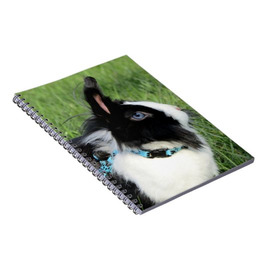 Fluffy Black en White Lionhead Bunny Rabbit Notitieboek (Rechterzijde)