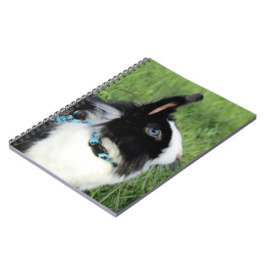 Fluffy Black en White Lionhead Bunny Rabbit Notitieboek (Linkerzijde)