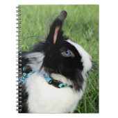 Fluffy Black en White Lionhead Bunny Rabbit Notitieboek (Voorkant)