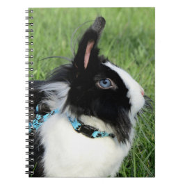 Fluffy Black en White Lionhead Bunny Rabbit Notitieboek