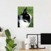 Fluffy Black en White Lionhead Bunny Rabbit Poster (Thuiskantoor)