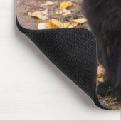 Fluffy Black Kat en Autumn Leaves Muismat (Hoek)