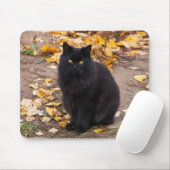 Fluffy Black Kat en Autumn Leaves Muismat (Met muis)
