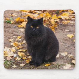 Fluffy Black Kat en Autumn Leaves Muismat