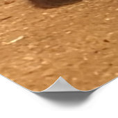 Fluffy Black Kitten Poster (Hoek)