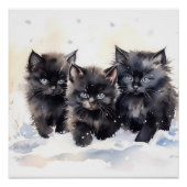Fluffy Black-Kittens Perfect Poster (Voorkant)