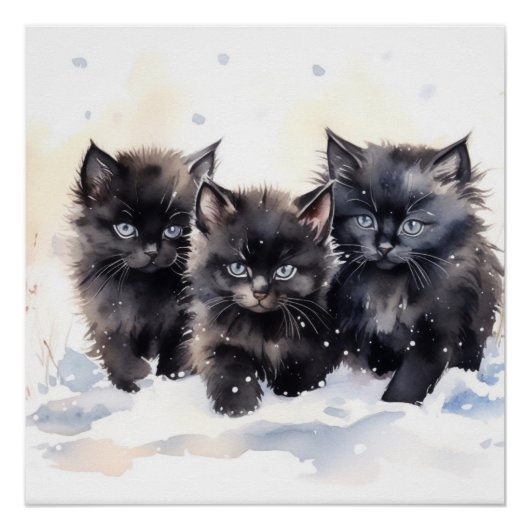 Fluffy Black-Kittens Perfect Poster (Voorkant)