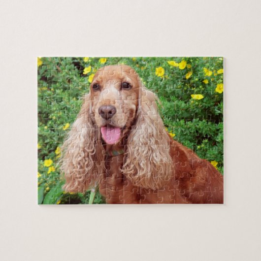 Fluffy Brown Dog Legpuzzel (Horizontaal)