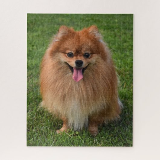 Fluffy Brown Pommomeranian Puppy Dog Legpuzzel (Verticaal)