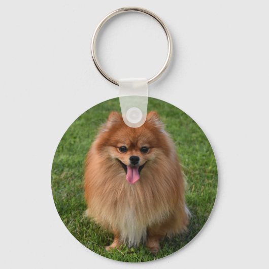 Fluffy Brown Pommomeranian Puppy Dog Sleutelhanger (Voorkant)