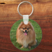 Fluffy Brown Pommomeranian Puppy Dog Sleutelhanger (Voorkant)