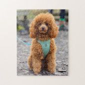 Fluffy Brown Poodle Puppy Dog Legpuzzel (Verticaal)