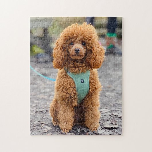 Fluffy Brown Poodle Puppy Dog Legpuzzel (Verticaal)