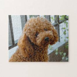 Fluffy Brown Poodle Puppy Dog Legpuzzel