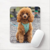 Fluffy Brown Poodle Puppy Dog Muismat (Met muis)