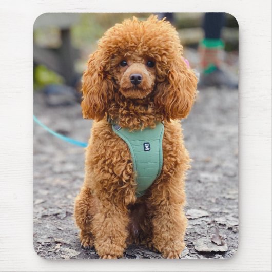 Fluffy Brown Poodle Puppy Dog Muismat (Voorkant)