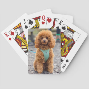 Fluffy Brown Poodle Puppy Dog Pokerkaarten