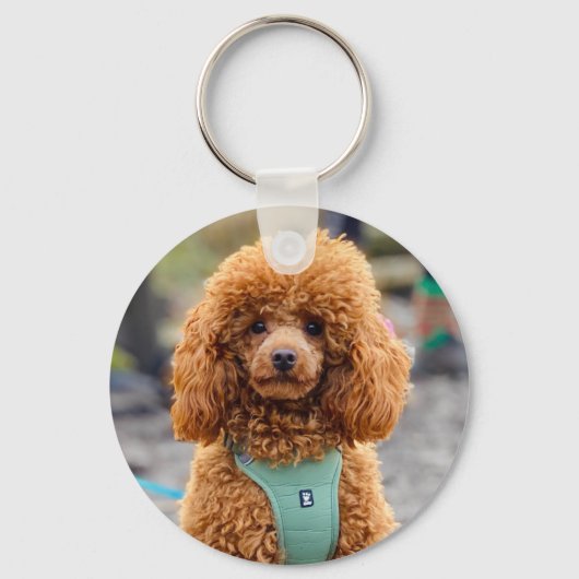 Fluffy Brown Poodle Puppy Dog Sleutelhanger (Voorkant)