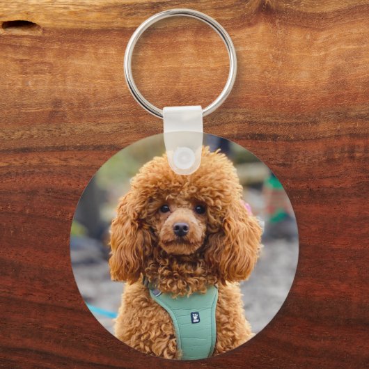 Fluffy Brown Poodle Puppy Dog Sleutelhanger (Voorkant)