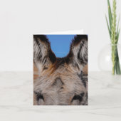 Fluffy Burro - Dankkaart Kaart (Voorkant)