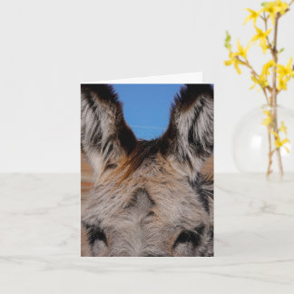 Fluffy Burro - Dankkaart Kaart