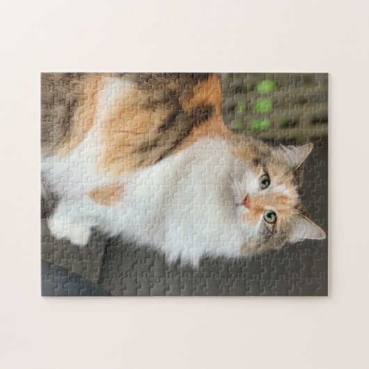 Fluffy Calico Kitty Cat Legpuzzel (Horizontaal)