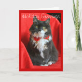 Fluffy Cat Dragen Kerstkraag - Kaart (Voorkant)