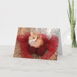 Fluffy Cat en Red Ribbon Vakantie Groeten Kaart