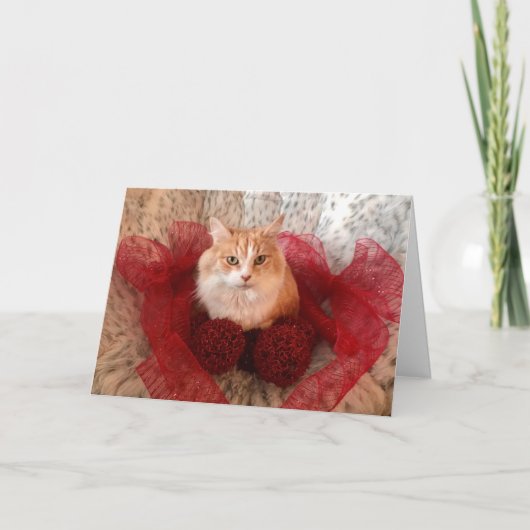 Fluffy Cat en Red Ribbon Vakantie Groeten Kaart (Voorkant)