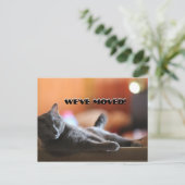 Fluffy cat gezegde we hebben een nieuw adres verpl aankondigingskaart (Staand voorkant)